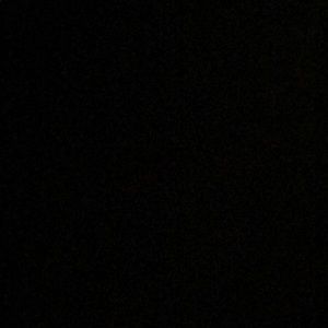 Meet your Posher, Gianna